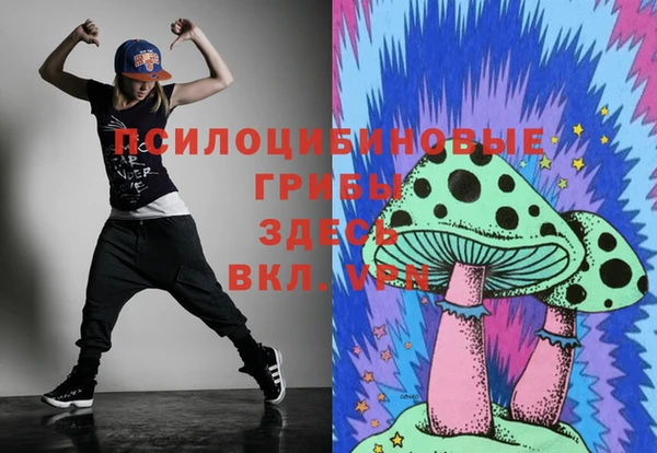 дурь Алексин