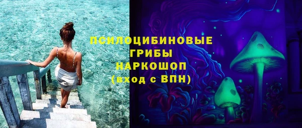 дурь Алексин
