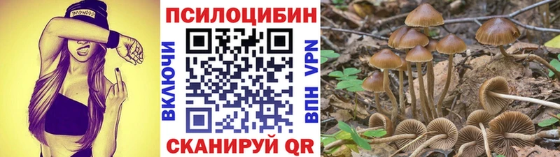купить наркоту  Опочка  Галлюциногенные грибы ЛСД 